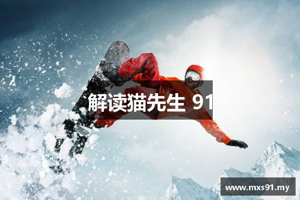 解读猫先生 91